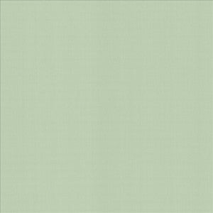 Perception Mint by Kasmir Fabric