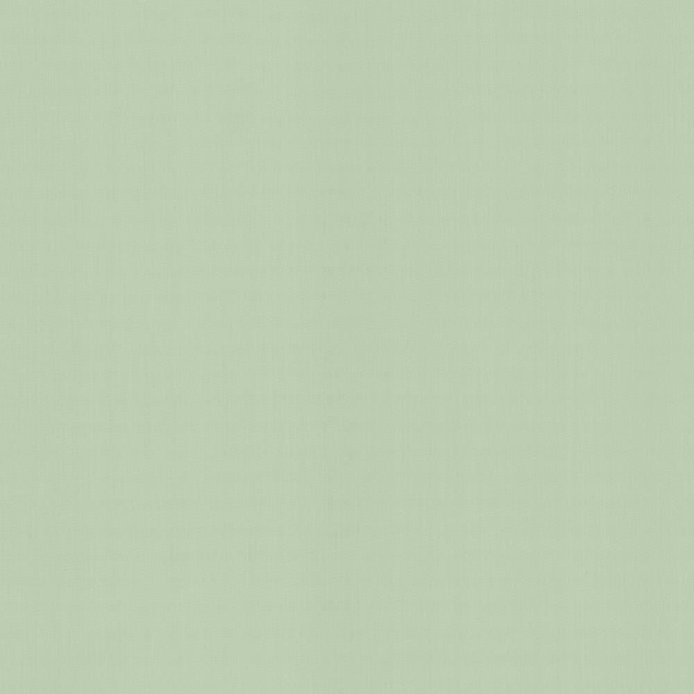 Perception Mint by Kasmir Fabric 5174 100% Cotton
 INDIA </p><p>Repeat: Horizontal: N/A and Vertical: N/A 54 - Fabric Carolina -