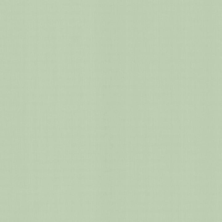Perception Mint by Kasmir Fabric 5174 100% Cotton
 INDIA </p><p>Repeat: Horizontal: N/A and Vertical: N/A 54 - Fabric Carolina -