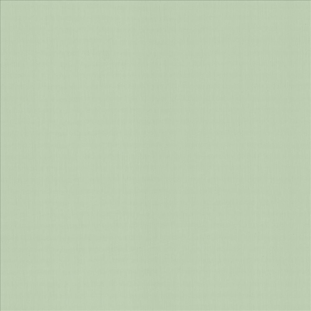 Perception Mint  by Kasmir Fabric See sample 100% Cotton
 INDIA 21,000 Wyzenbeek Double Rubs </p><p>Repeat: Horizontal: N/A and Vertical: N/A 54  - Fabric Carolina -