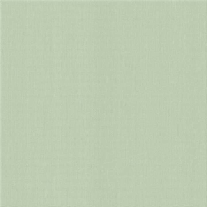 Perception Mint  by Kasmir Fabric See sample 100% Cotton
 INDIA 21,000 Wyzenbeek Double Rubs </p><p>Repeat: Horizontal: N/A and Vertical: N/A 54  - Fabric Carolina -