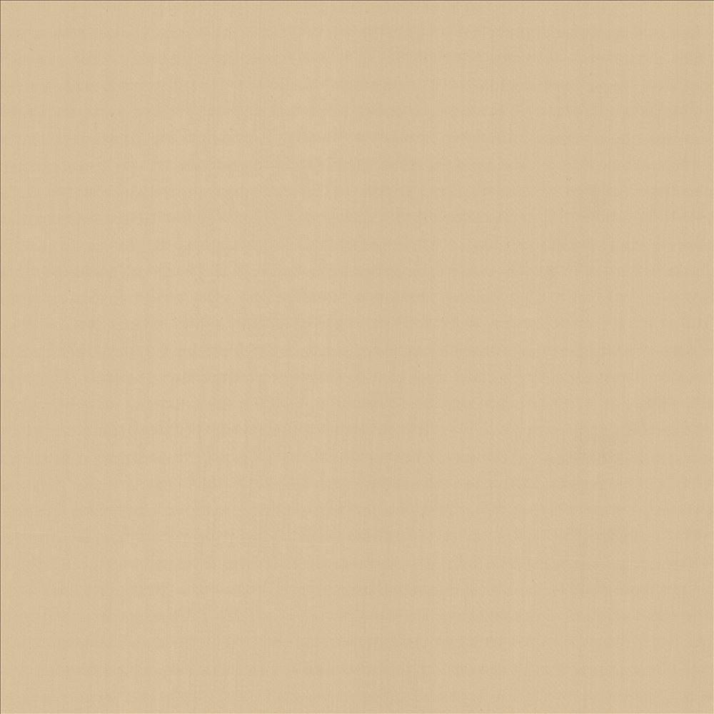 Perception Muslin by Kasmir Fabric 5174 100% Cotton
 INDIA 21,000 Wyzenbeek Double Rubs </p><p>Repeat: Horizontal: N/A and Vertical: N/A 54 - Fabric Carolina -