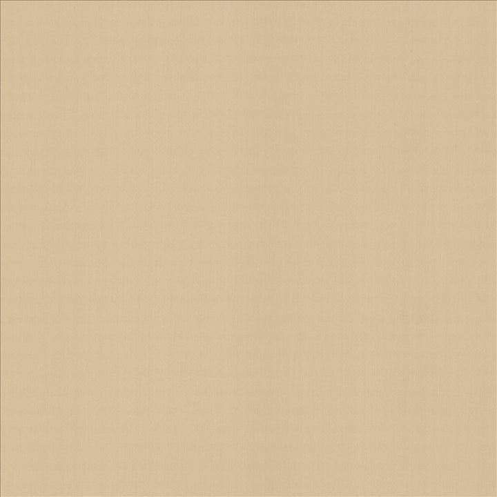 Perception Muslin by Kasmir Fabric 5174 100% Cotton
 INDIA 21,000 Wyzenbeek Double Rubs </p><p>Repeat: Horizontal: N/A and Vertical: N/A 54 - Fabric Carolina -