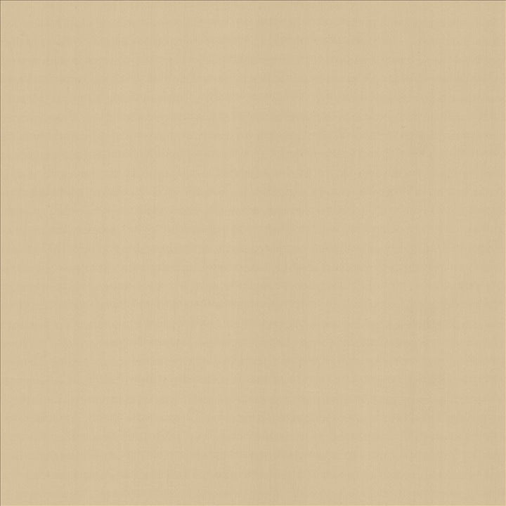 Perception Muslin by Kasmir Fabric 5174 100% Cotton
 INDIA 21,000 Wyzenbeek Double Rubs Horizontal: N/A and Vertical: N/A 54 - Fabric Carolina -