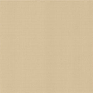Perception Muslin by Kasmir Fabric