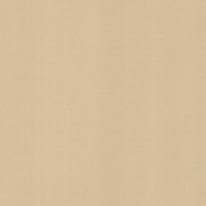 Perception Muslin by Kasmir Fabric 5174 100% Cotton
 INDIA </p><p>Repeat: Horizontal: N/A and Vertical: N/A 54 - Fabric Carolina -