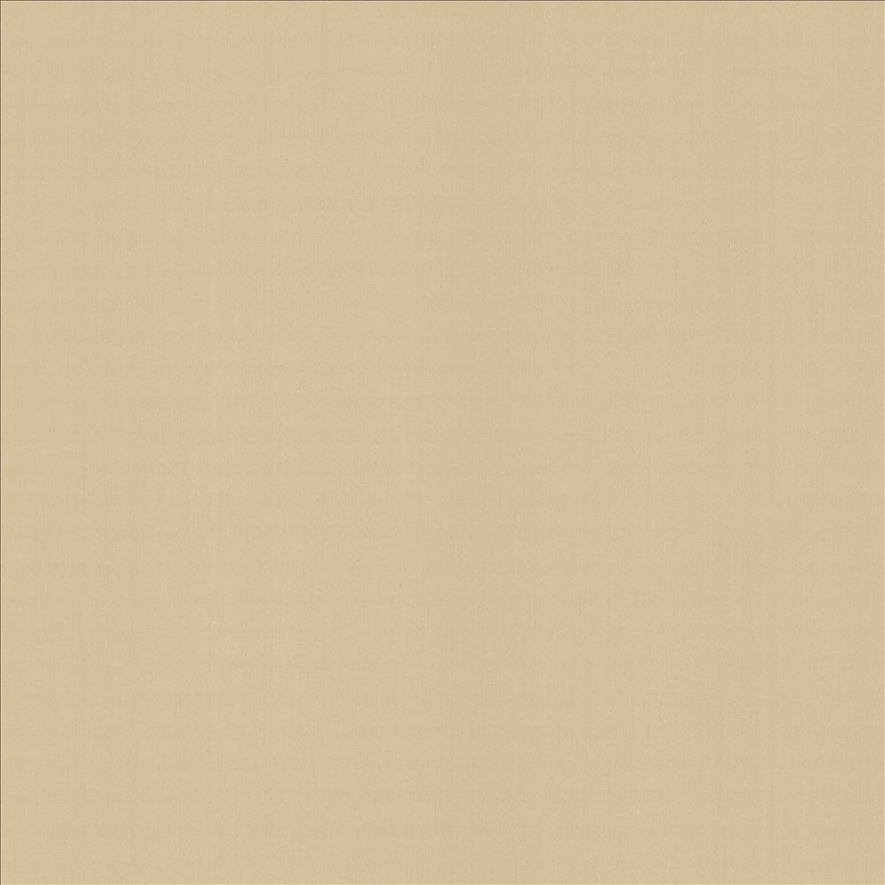 Perception Muslin  by Kasmir Fabric See sample 100% Cotton
 INDIA 21,000 Wyzenbeek Double Rubs </p><p>Repeat: Horizontal: N/A and Vertical: N/A 54  - Fabric Carolina -