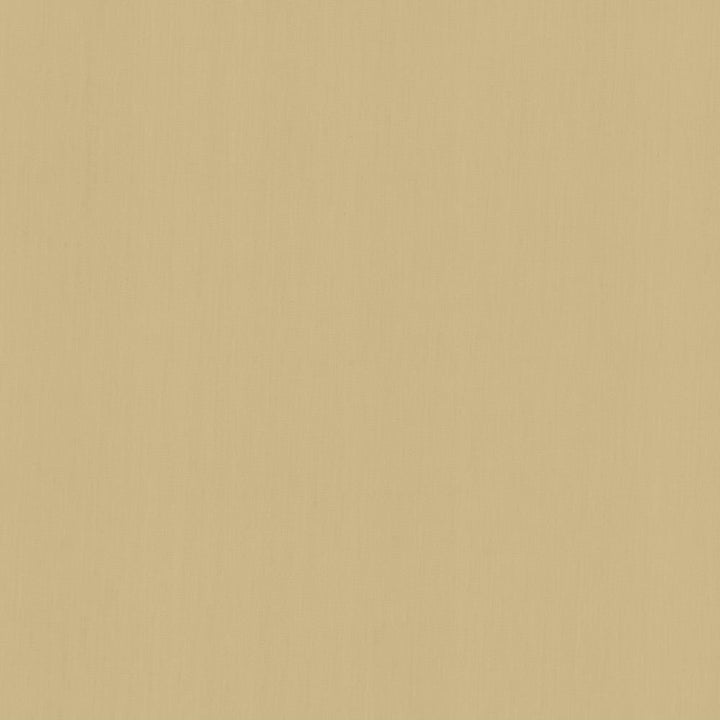 Perception Oatmeal by Kasmir Fabric 5174 100% Cotton
 INDIA </p><p>Repeat: Horizontal: N/A and Vertical: N/A 54 - Fabric Carolina -