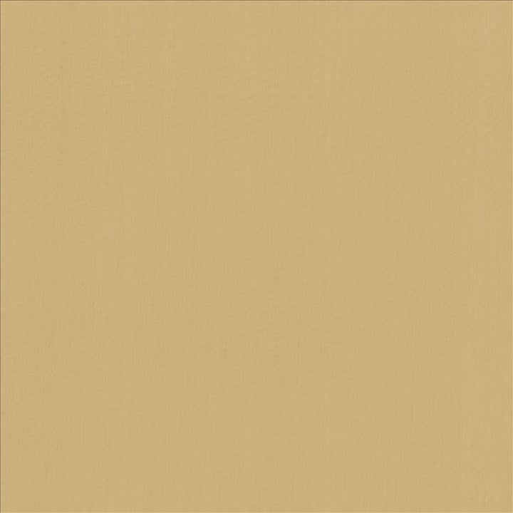 Perception Oatmeal by Kasmir Fabric 5174 100% Cotton
 INDIA </p><p>Repeat: Horizontal: N/A and Vertical: N/A 54 - Fabric Carolina -