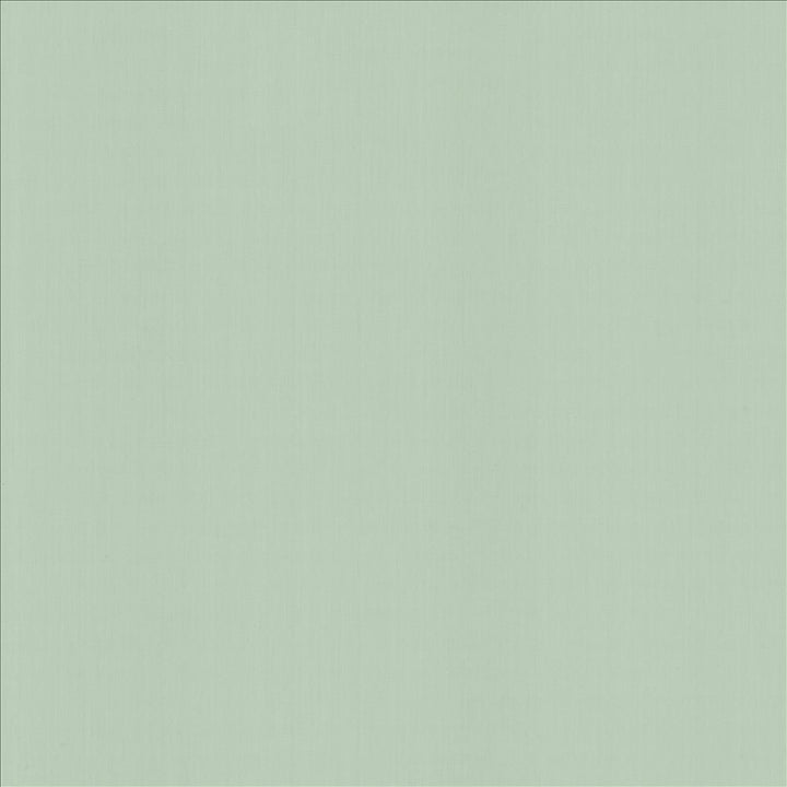 Perception Pacific by Kasmir Fabric 5174 100% Cotton
 INDIA 21,000 Wyzenbeek Double Rubs Horizontal: N/A and Vertical: N/A 54 - Fabric Carolina -