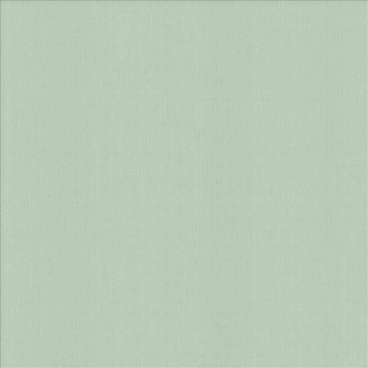 Perception Pacific by Kasmir Fabric 5174 100% Cotton
 INDIA 21,000 Wyzenbeek Double Rubs </p><p>Repeat: Horizontal: N/A and Vertical: N/A 54 - Fabric Carolina -