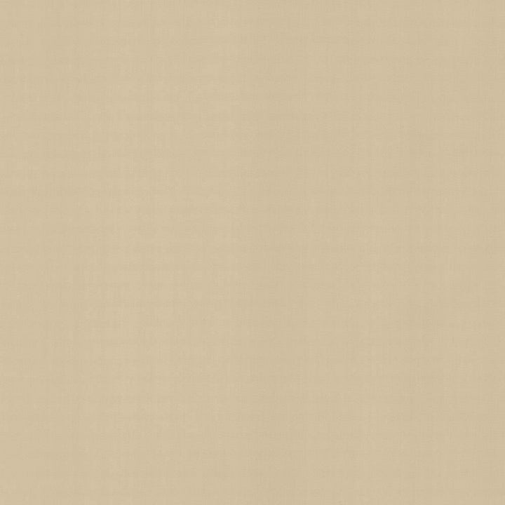 Perception Pumice by Kasmir Fabric 5174 100% Cotton
 INDIA </p><p>Repeat: Horizontal: N/A and Vertical: N/A 54 - Fabric Carolina -