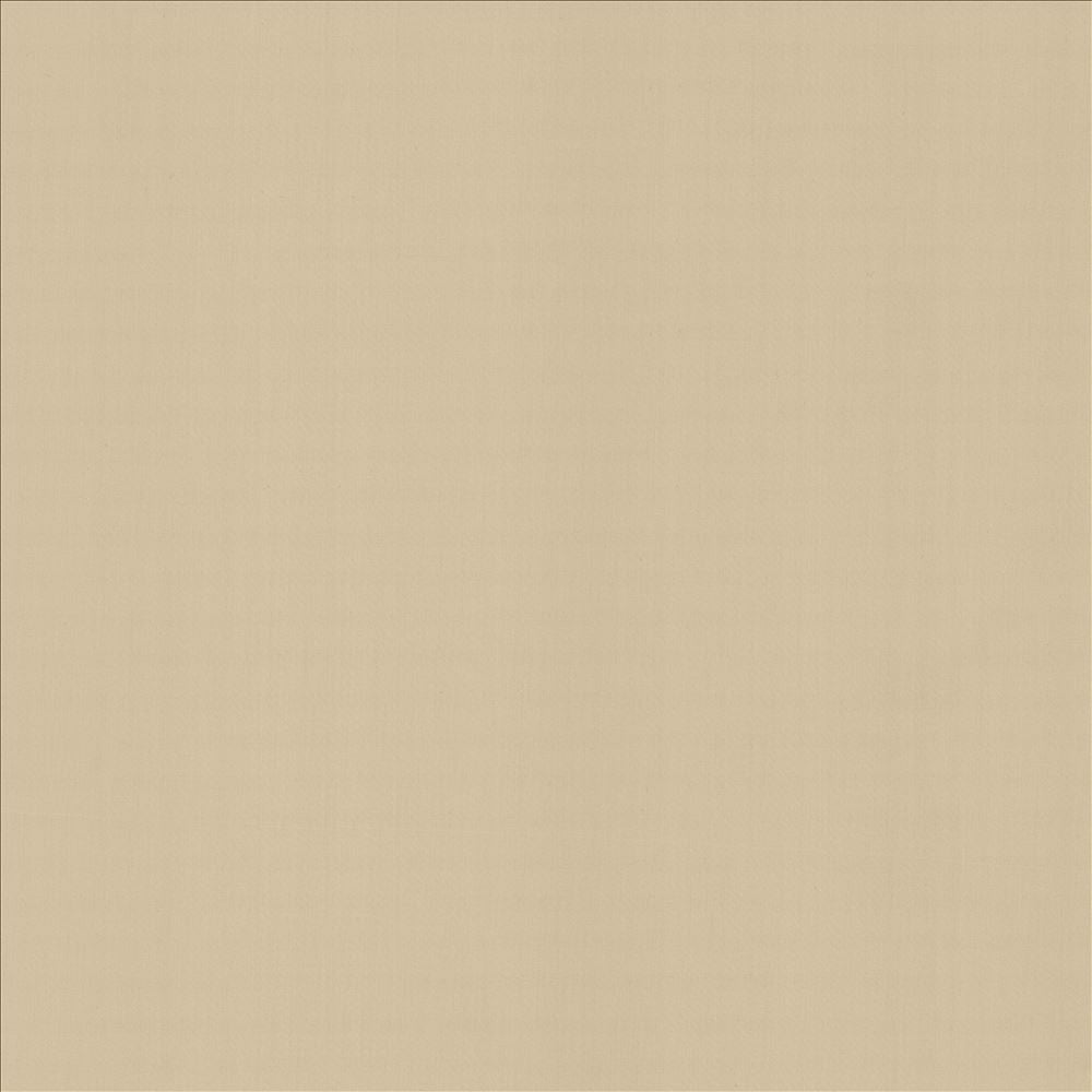 Perception Pumice by Kasmir Fabric 5174 100% Cotton
 INDIA 21,000 Wyzenbeek Double Rubs Horizontal: N/A and Vertical: N/A 54 - Fabric Carolina -
