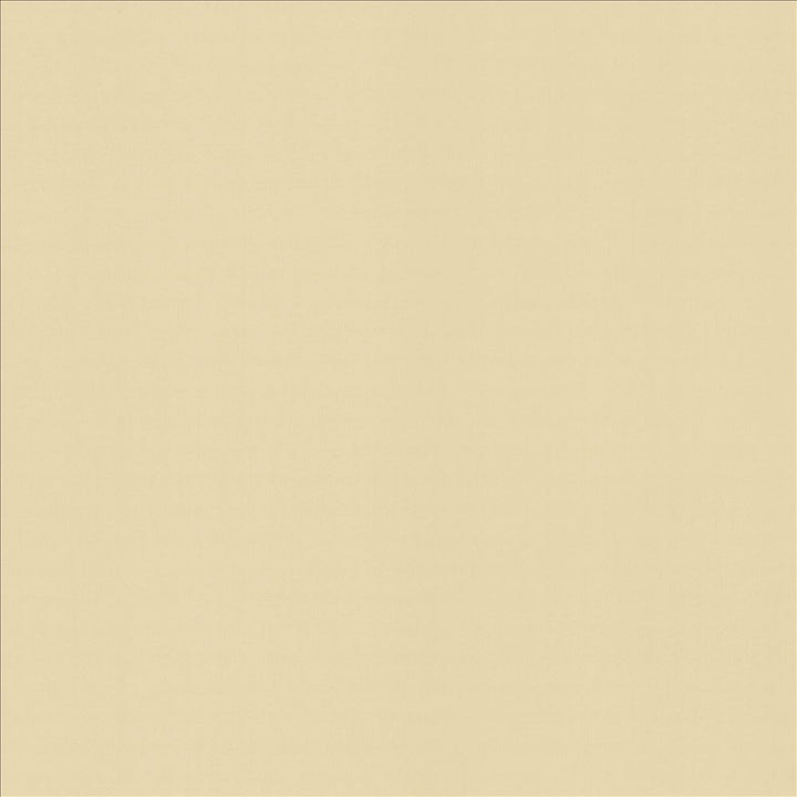 Perception Pumice by Kasmir Fabric 5174 100% Cotton
 INDIA </p><p>Repeat: Horizontal: N/A and Vertical: N/A 54 - Fabric Carolina -