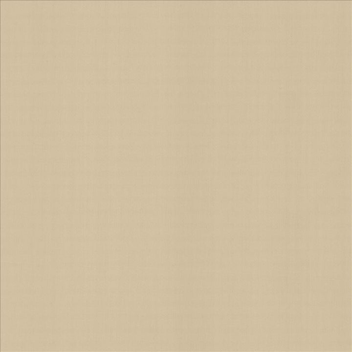 Perception Pumice  by Kasmir Fabric See sample 100% Cotton
 INDIA 21,000 Wyzenbeek Double Rubs </p><p>Repeat: Horizontal: N/A and Vertical: N/A 54  - Fabric Carolina -