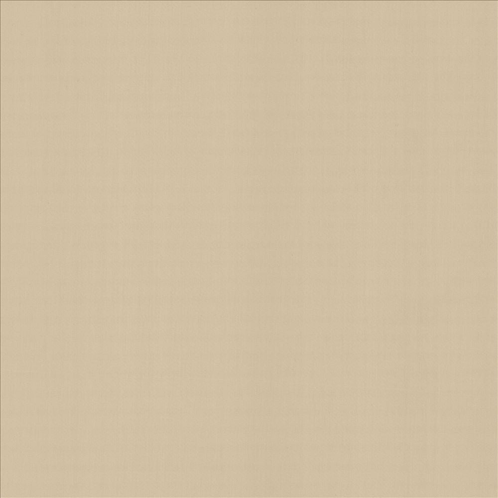 Perception Pumice by Kasmir Fabric 5174 100% Cotton
 INDIA 21,000 Wyzenbeek Double Rubs </p><p>Repeat: Horizontal: N/A and Vertical: N/A 54 - Fabric Carolina -