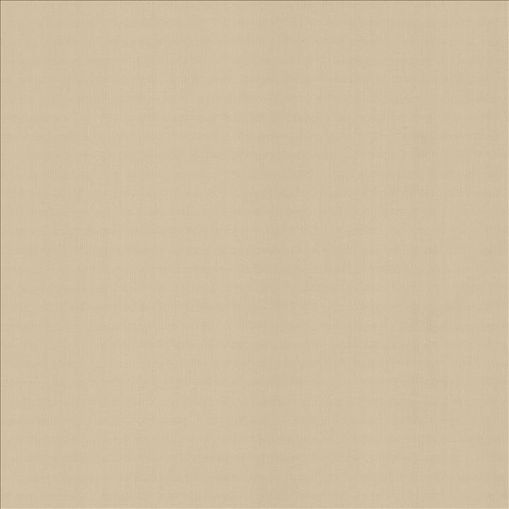 Perception Pumice by Kasmir Fabric 5174 100% Cotton
 INDIA 21,000 Wyzenbeek Double Rubs </p><p>Repeat: Horizontal: N/A and Vertical: N/A 54 - Fabric Carolina -