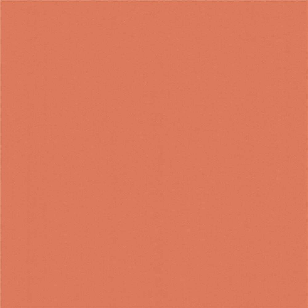 Perception Salmon by Kasmir Fabric 5174 100% Cotton
 INDIA </p><p>Repeat: Horizontal: N/A and Vertical: N/A 54 - Fabric Carolina -