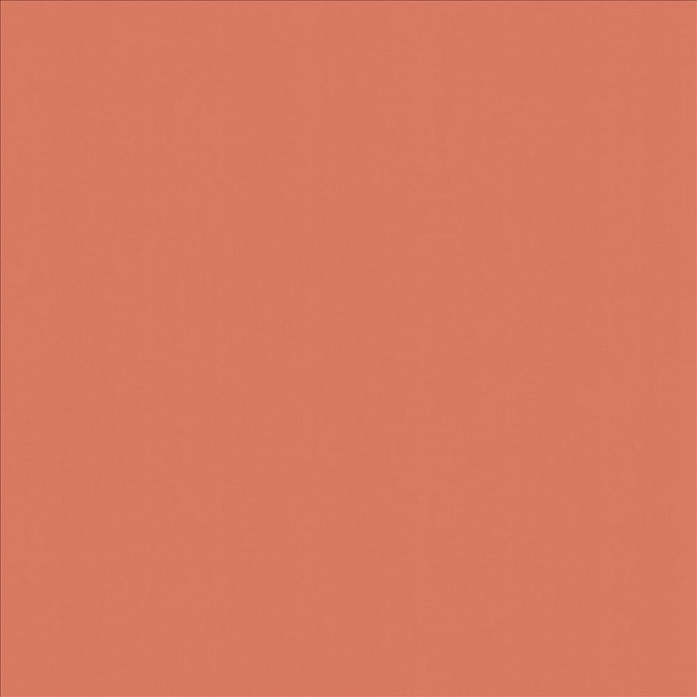 Perception Salmon by Kasmir Fabric 5174 100% Cotton
 INDIA 21,000 Wyzenbeek Double Rubs Horizontal: N/A and Vertical: N/A 54 - Fabric Carolina -