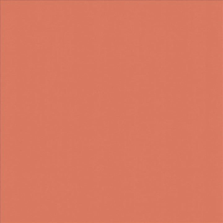 Perception Salmon by Kasmir Fabric 5174 100% Cotton
 INDIA 21,000 Wyzenbeek Double Rubs Horizontal: N/A and Vertical: N/A 54 - Fabric Carolina -