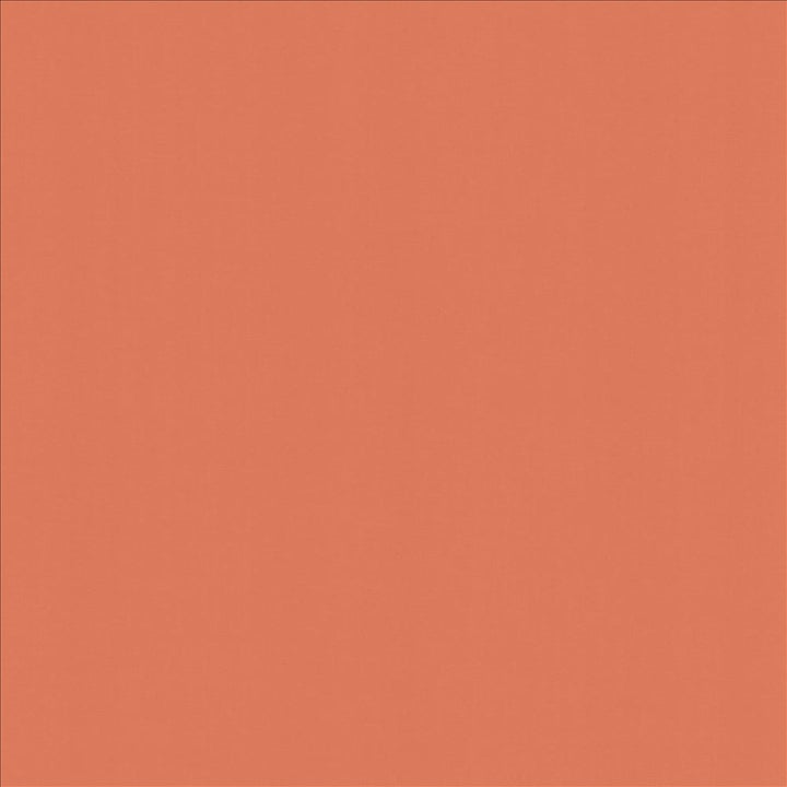 Perception Salmon by Kasmir Fabric 5174 100% Cotton
 INDIA </p><p>Repeat: Horizontal: N/A and Vertical: N/A 54 - Fabric Carolina -