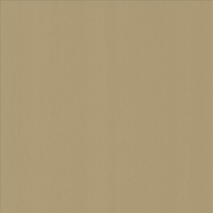 Perception Seal by Kasmir Fabric 5174 100% Cotton
 INDIA </p><p>Repeat: Horizontal: N/A and Vertical: N/A 54 - Fabric Carolina -