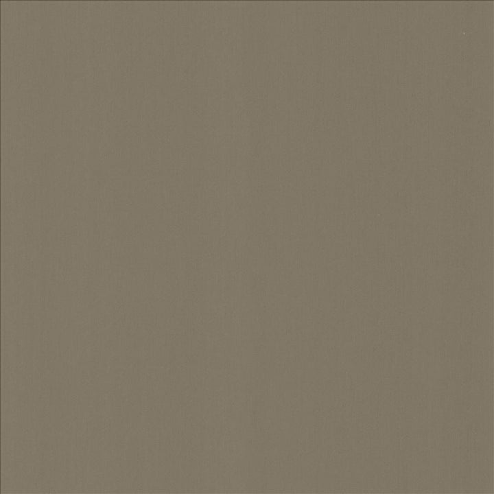 Perception Seal by Kasmir Fabric 5174 100% Cotton
 INDIA 21,000 Wyzenbeek Double Rubs </p><p>Repeat: Horizontal: N/A and Vertical: N/A 54 - Fabric Carolina -