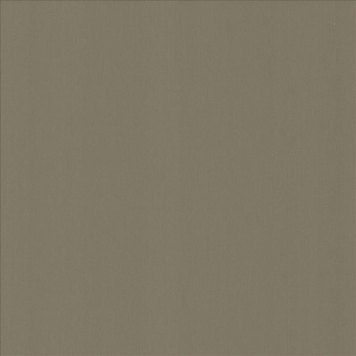 Perception Seal by Kasmir Fabric 5174 100% Cotton
 INDIA 21,000 Wyzenbeek Double Rubs Horizontal: N/A and Vertical: N/A 54 - Fabric Carolina -
