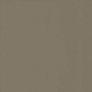 Perception Seal by Kasmir Fabric