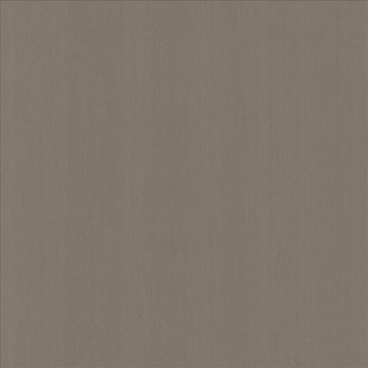 Perception Shale  by Kasmir Fabric See sample 100% Cotton
 INDIA 21,000 Wyzenbeek Double Rubs </p><p>Repeat: Horizontal: N/A and Vertical: N/A 54  - Fabric Carolina -