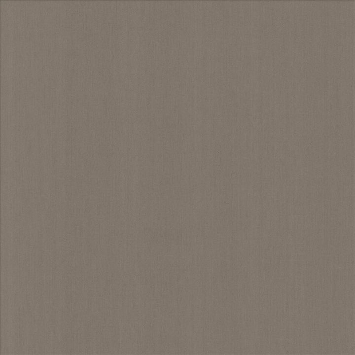 Perception Shale by Kasmir Fabric 5174 100% Cotton
 INDIA 21,000 Wyzenbeek Double Rubs </p><p>Repeat: Horizontal: N/A and Vertical: N/A 54 - Fabric Carolina -