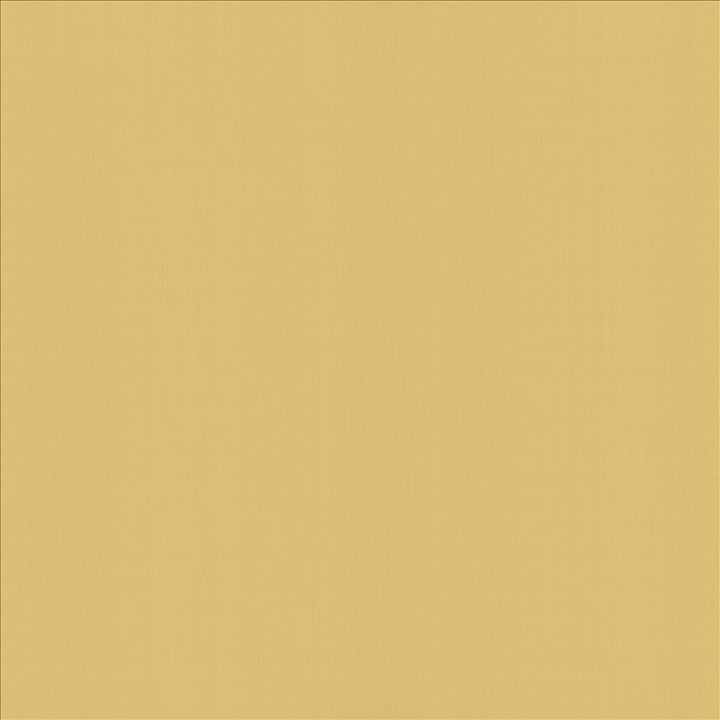 Perception Soleil by Kasmir Fabric 5174 100% Cotton
 INDIA 21,000 Wyzenbeek Double Rubs Horizontal: N/A and Vertical: N/A 54 - Fabric Carolina -