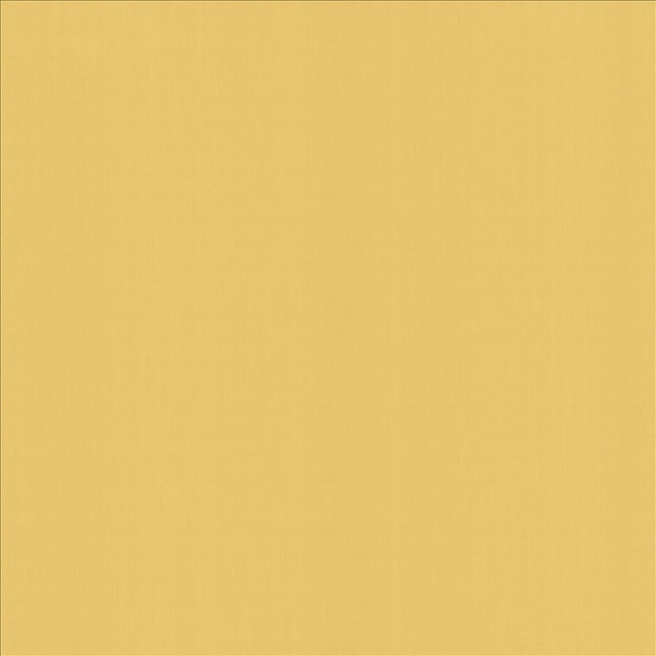 Perception Soleil by Kasmir Fabric 5174 100% Cotton
 INDIA </p><p>Repeat: Horizontal: N/A and Vertical: N/A 54 - Fabric Carolina -