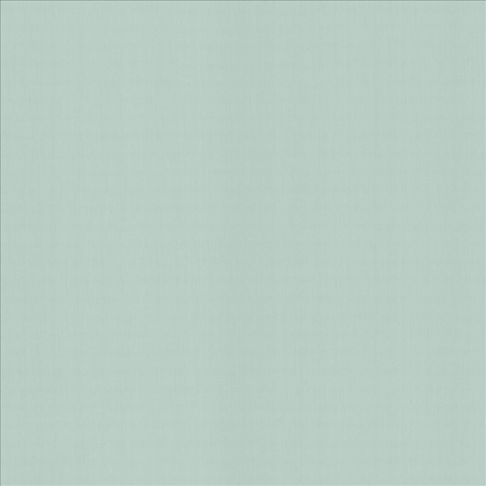 Perception Spray by Kasmir Fabric 5174 100% Cotton
 INDIA 21,000 Wyzenbeek Double Rubs </p><p>Repeat: Horizontal: N/A and Vertical: N/A 54 - Fabric Carolina -