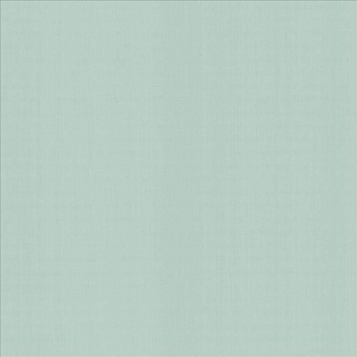 Perception Spray by Kasmir Fabric 5174 100% Cotton
 INDIA 21,000 Wyzenbeek Double Rubs </p><p>Repeat: Horizontal: N/A and Vertical: N/A 54 - Fabric Carolina -