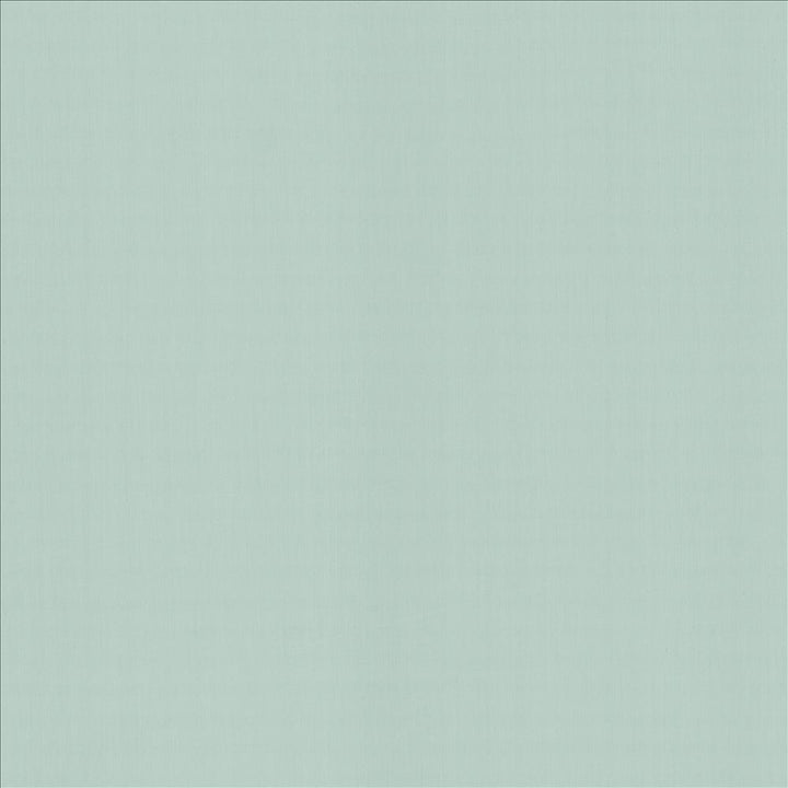 Perception Spray by Kasmir Fabric 5174 100% Cotton
 INDIA 21,000 Wyzenbeek Double Rubs Horizontal: N/A and Vertical: N/A 54 - Fabric Carolina -