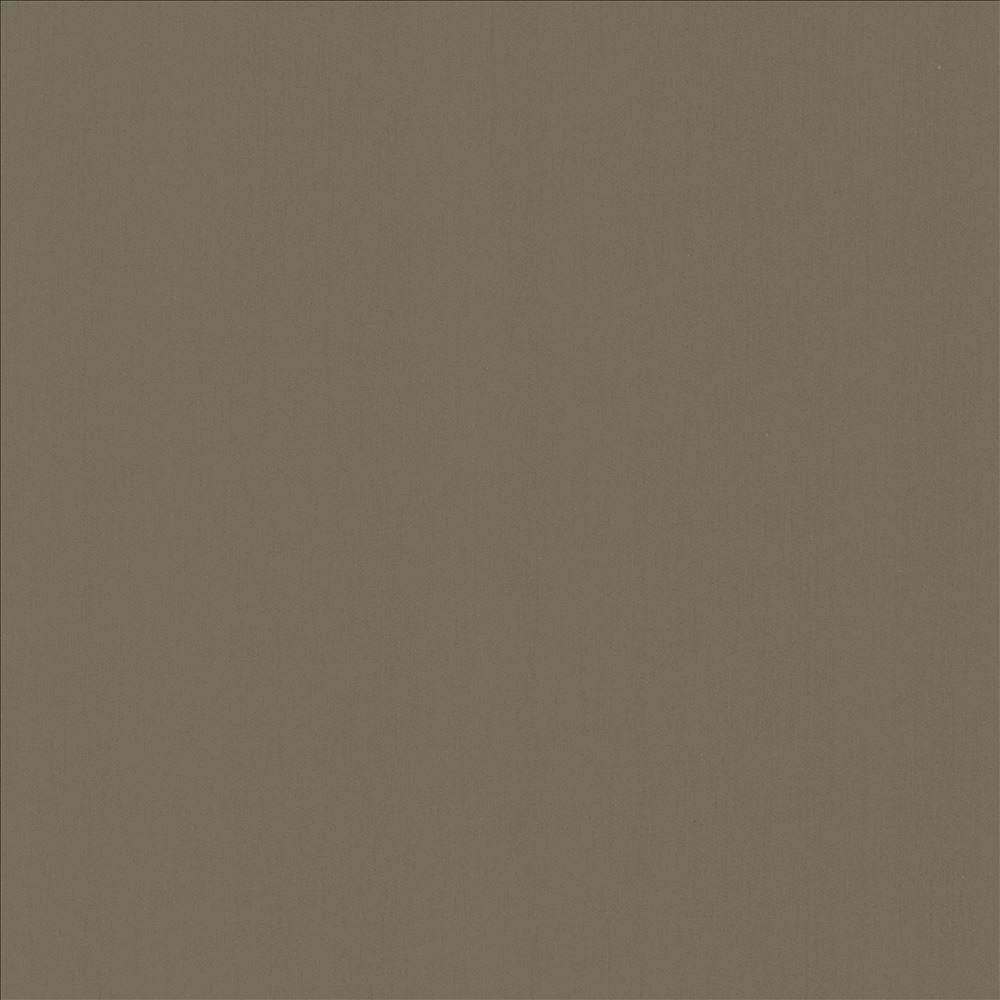 Perception Sterling by Kasmir Fabric 5174 100% Cotton
 INDIA 21,000 Wyzenbeek Double Rubs </p><p>Repeat: Horizontal: N/A and Vertical: N/A 54 - Fabric Carolina -