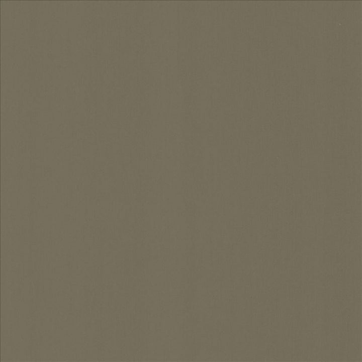 Perception Sterling by Kasmir Fabric 5174 100% Cotton
 INDIA 21,000 Wyzenbeek Double Rubs </p><p>Repeat: Horizontal: N/A and Vertical: N/A 54 - Fabric Carolina -
