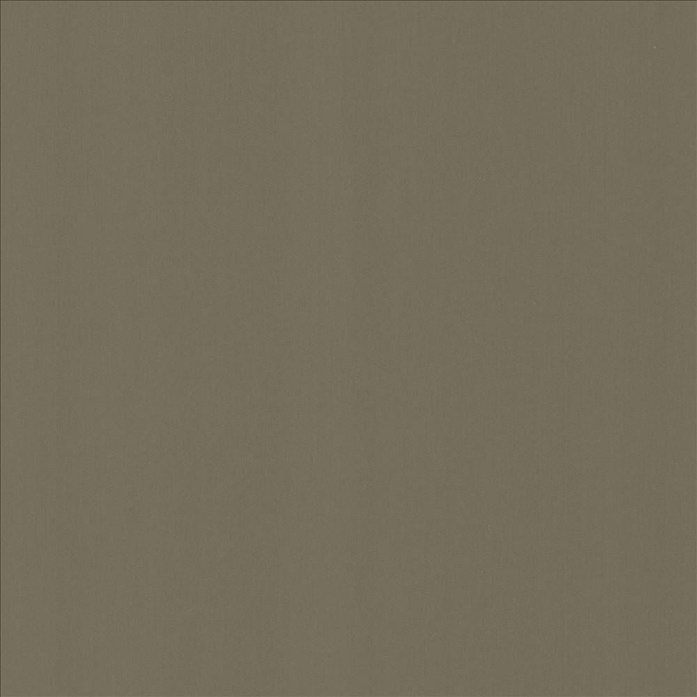 Perception Sterling by Kasmir Fabric 5174 100% Cotton
 INDIA 21,000 Wyzenbeek Double Rubs Horizontal: N/A and Vertical: N/A 54 - Fabric Carolina -