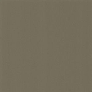 Perception Sterling by Kasmir Fabric