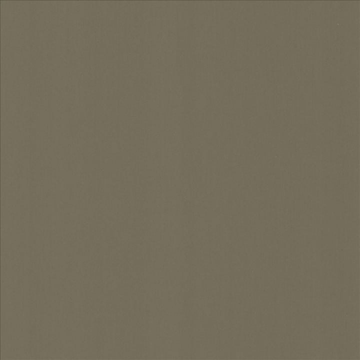 Perception Sterling  by Kasmir Fabric See sample 100% Cotton
 INDIA 21,000 Wyzenbeek Double Rubs </p><p>Repeat: Horizontal: N/A and Vertical: N/A 54  - Fabric Carolina -