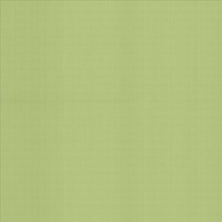 Perception Sweet Pea by Kasmir Fabric 5174 100% Cotton
 INDIA 21,000 Wyzenbeek Double Rubs Horizontal: N/A and Vertical: N/A 54 - Fabric Carolina -