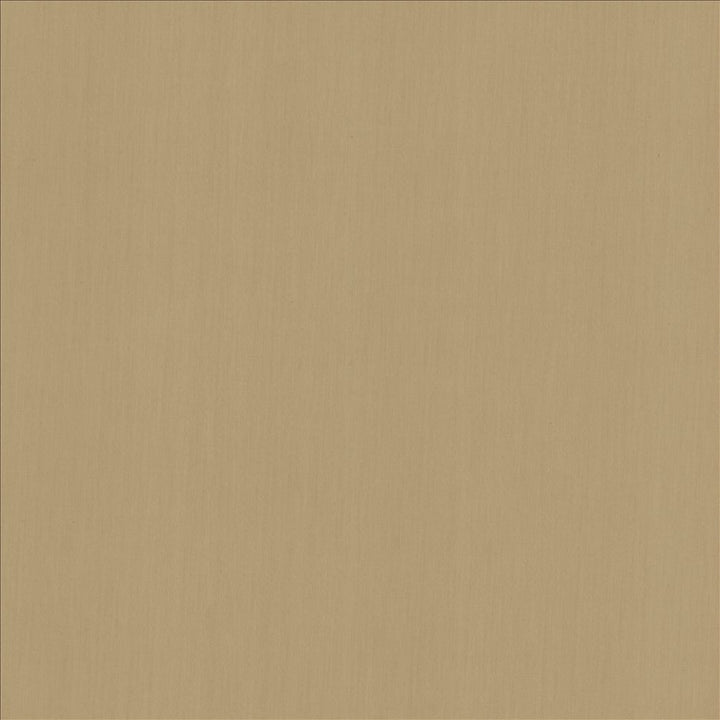 Perception Tawny by Kasmir Fabric 5174 100% Cotton
 INDIA 21,000 Wyzenbeek Double Rubs Horizontal: N/A and Vertical: N/A 54 - Fabric Carolina -