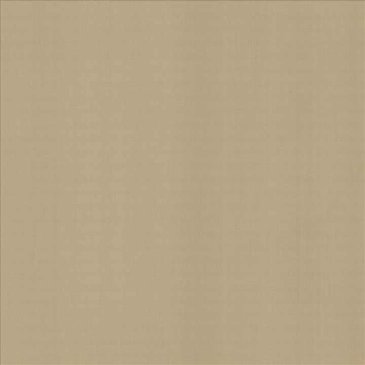 Perception Teak by Kasmir Fabric 5174 100% Cotton
 INDIA 21,000 Wyzenbeek Double Rubs </p><p>Repeat: Horizontal: N/A and Vertical: N/A 54 - Fabric Carolina -