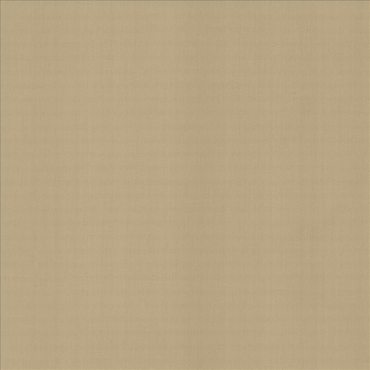 Perception Teak by Kasmir Fabric 5174 100% Cotton
 INDIA 21,000 Wyzenbeek Double Rubs Horizontal: N/A and Vertical: N/A 54 - Fabric Carolina -