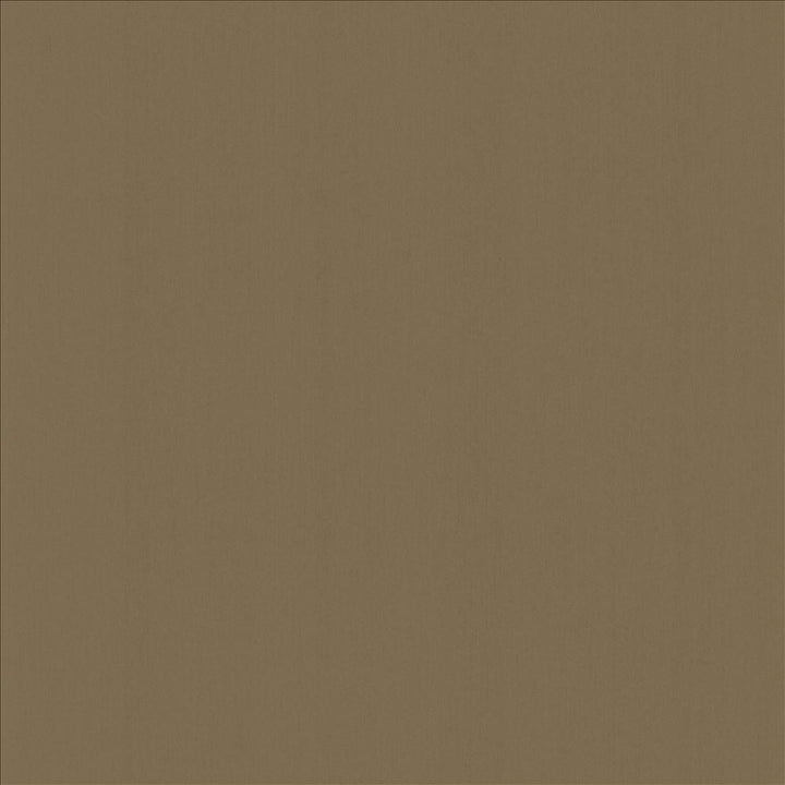 Perception Wood by Kasmir Fabric 5174 100% Cotton
 INDIA 21,000 Wyzenbeek Double Rubs </p><p>Repeat: Horizontal: N/A and Vertical: N/A 54 - Fabric Carolina -