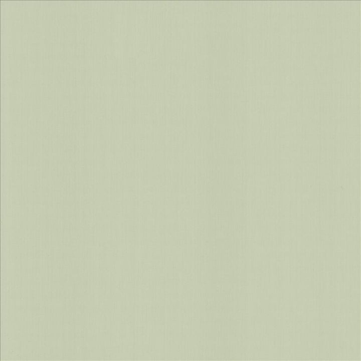Perception Zen by Kasmir Fabric 5174 100% Cotton
 INDIA 21,000 Wyzenbeek Double Rubs </p><p>Repeat: Horizontal: N/A and Vertical: N/A 54 - Fabric Carolina -