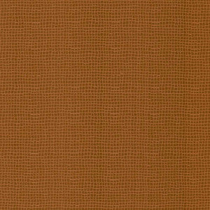 Petite Dundee Burnt Orange by Kasmir Fabric