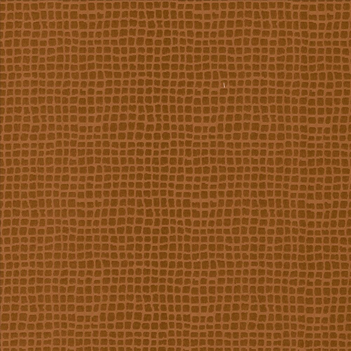 Petite Dundee Burnt Orange by Kasmir Fabric 5094 100% Polyester MEXICO Not Tested Horizontal: 4/8 inches and Vertical: 4/8 inches 59 - Fabric Carolina -