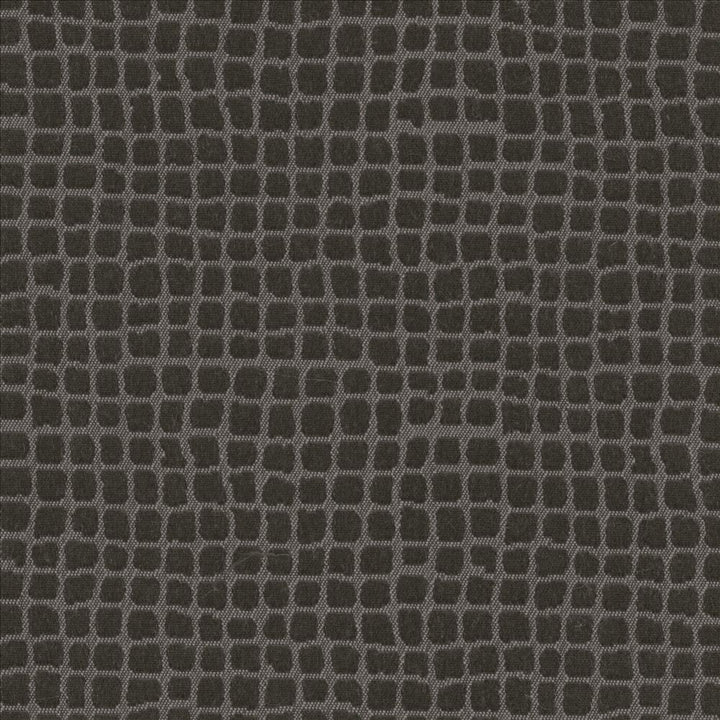 Petite Dundee Grey by Kasmir Fabric 5101 100% Polyester
 MEXICO </p><p>Repeat: Horizontal: 4/8 inches and Vertical: 4/8 inches 59 - Fabric Carolina -